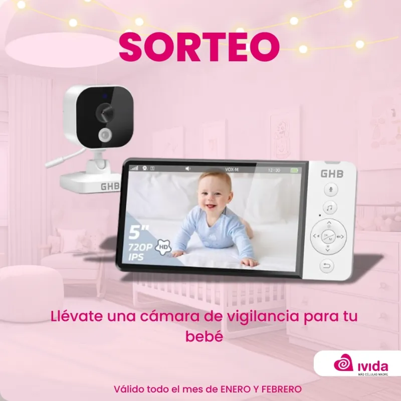 Llévate una Cámara de Vigilancia para tu Bebé